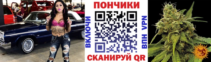 Псилоцибиновые грибы Зубцов