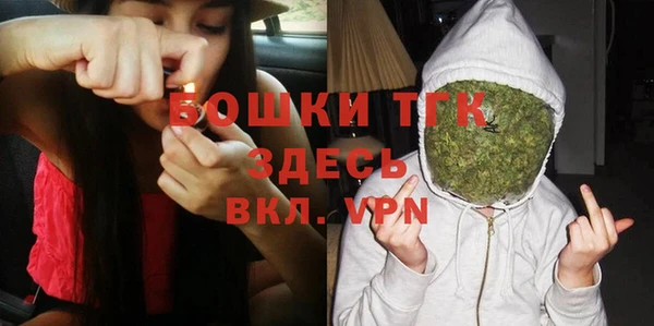 твердый Новозыбков