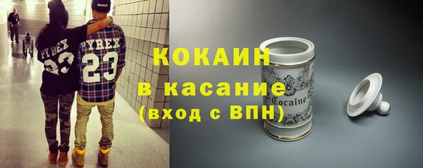 твердый Новозыбков