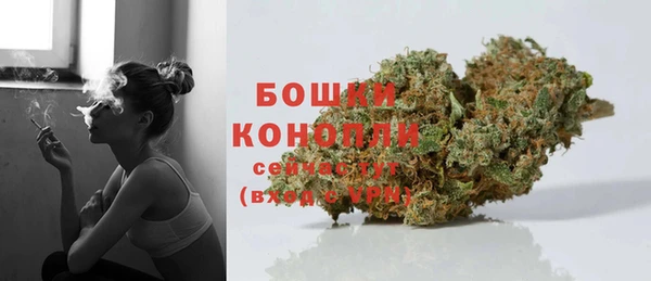PSILOCYBIN Новодвинск