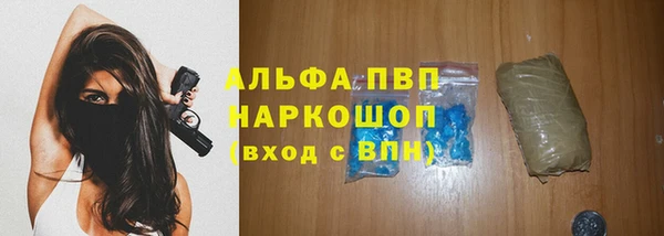 СК Новокубанск