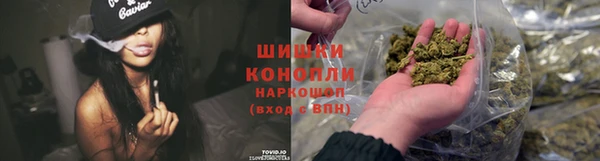 СК Новокубанск
