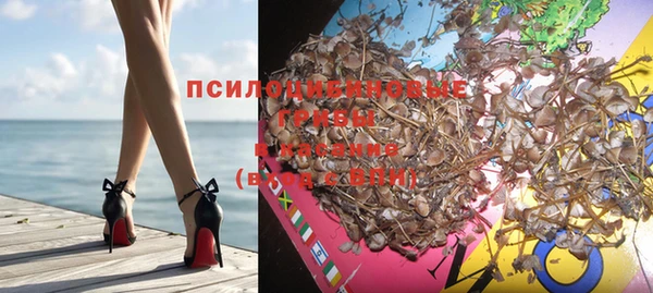 твердый Новозыбков