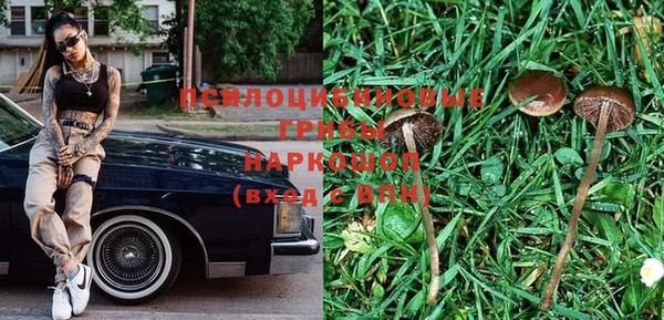 PSILOCYBIN Новодвинск