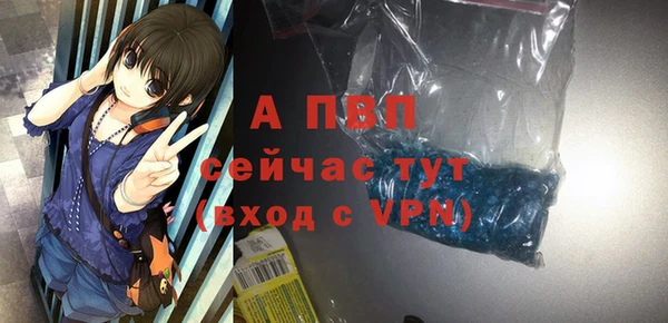 PSILOCYBIN Новодвинск