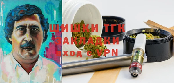PSILOCYBIN Новодвинск
