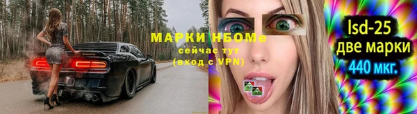 СК Новокубанск