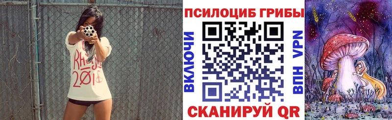 Псилоцибиновые грибы мицелий  kraken как зайти  Зубцов  купить наркотик 